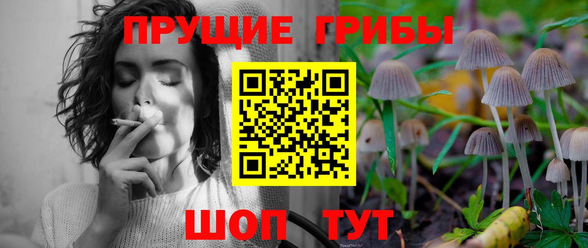 Гашиш Великий Новгород