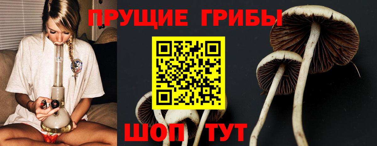 Галлюциногенные грибы мухоморы  Вход с VPN  Псилоцибиновые грибы прущие грибы  Великий Новгород 